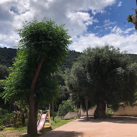 Appartamento Maremontagna Cardedu Dış mekan fotoğraf