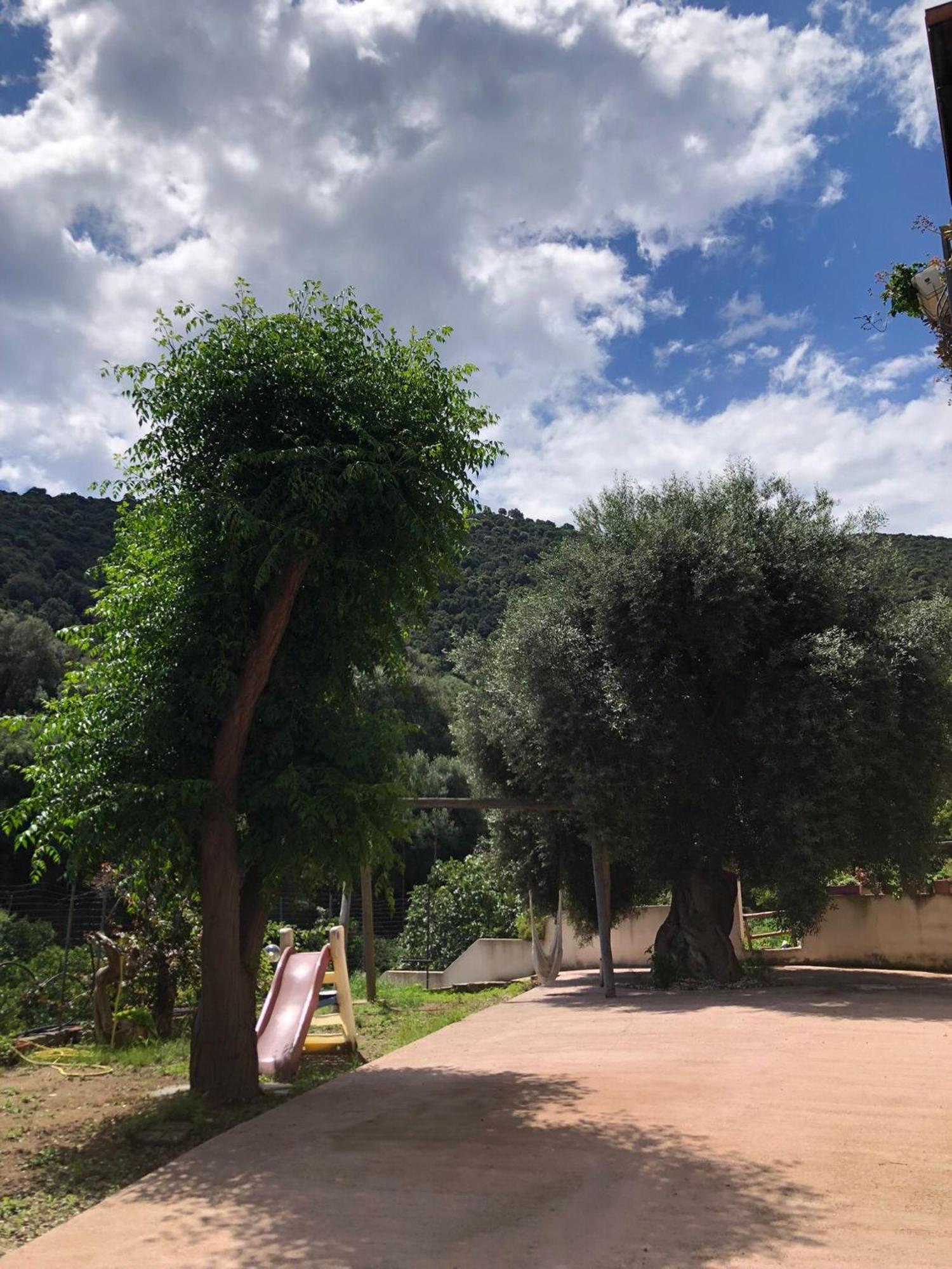 Appartamento Maremontagna Cardedu Dış mekan fotoğraf