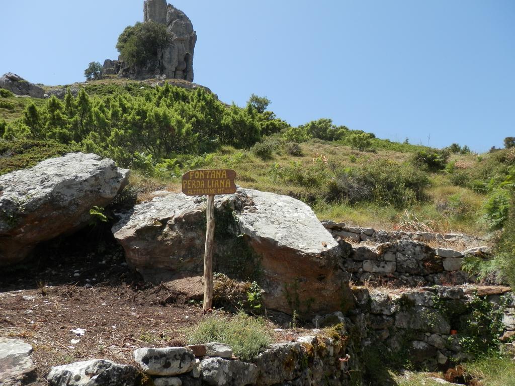 Appartamento Maremontagna Cardedu Dış mekan fotoğraf